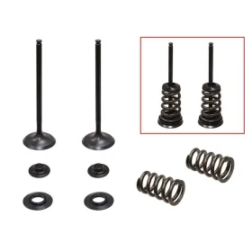 Psychic intake valves set KTM SX-F / EXC-F 250cc 05-07