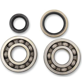 HOT RODS Crankshaft Bearing and Oil Seal Kit Suzuki RMX 250 95-98