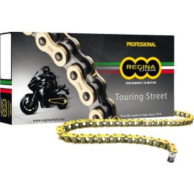 REGINA 520 ZRT Drive Chain 106 Links