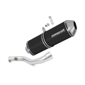 BMW R850R 2003 Exhaust Silencer Muffler OVR BLACK + dB killer