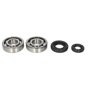 4Ride Crankshaft Bearing Kit YAMAHA YZ 250 2001-2018