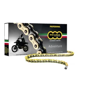 Regina 520zre (106 links) z-ring enduro drive chain