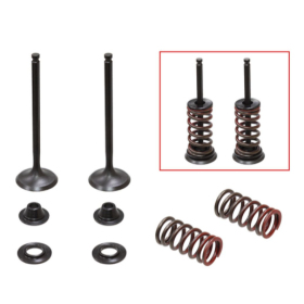 Psychic 2024/03 exhaust valves (valve set with springs and washers) Yamaha WR-F / YZ-F 250cc 01-13