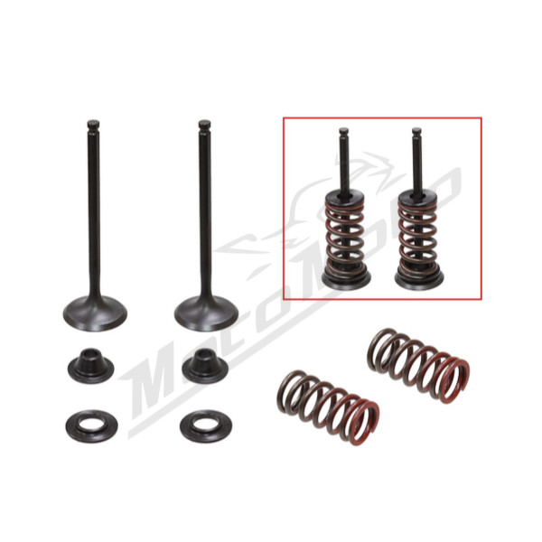 Psychic 2024/03 exhaust valves (valve set with springs and washers) Yamaha WR-F / YZ-F 250cc 01-13