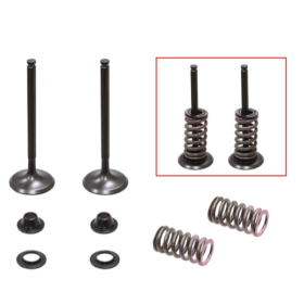 Psychic 2024/03 exhaust valves (valve set with springs and washers) YAMAHA YZF 450 10-13