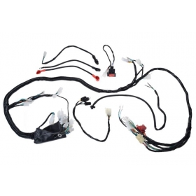 Wiring harness ATV/ BASHAN/ BS250S-5 250cc 4T