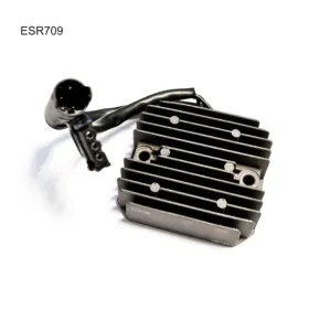 ELECTROSPORT Srovės lygintuvas BMW G / F 650-800 06-16