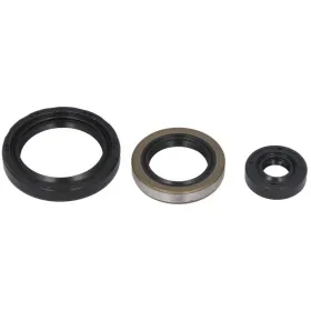 Winderosa Engine gaskets set (quantity per set 3 pcs) Polaris ATP / Big Boss / Magnum / Ranger / Scrambler / Sportsman / Trail Boss / Worker / Xplorer 325-500 95-14