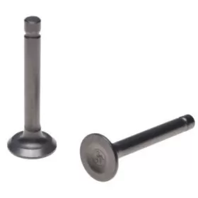Intake and exhaust valve mini moto YCF50