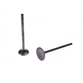 Valve kit LONCIN 4T 125CC