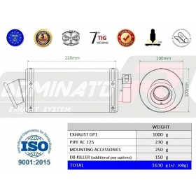 Exhaust silincer Dominator GP1 KTM RC 125 2017-2020