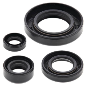 Winderosa (vertex) set of engine seals Suzuki DR 650 SE 96–17