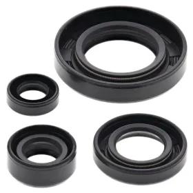 Winderosa (vertex) set of engine seals Suzuki DR 650 SE 96–17