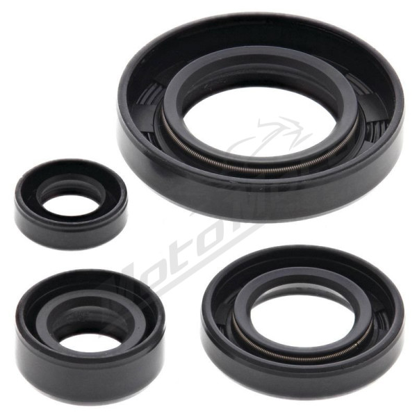 Winderosa (vertex) set of engine seals Suzuki DR 650 SE 96–17