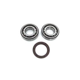 PROX Crankshaft Bearing & Seal Kit Gas Gas / Husqvarna / KTM 250/350 16-26