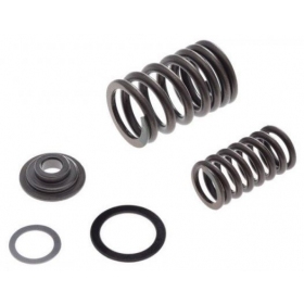 Valve spring, rubber, rentainer kit SHINERAY ATV250 ST-9E