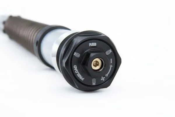 Ohlins NIX 22 priekinės šakės kasetės BMW R Nine T ABS 16-23