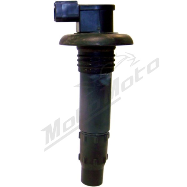 WSM Replacement Coil Sea-Doo GTI / GTR / GTS / GTX / RXP / RXT / WAKE 130-260 02-16