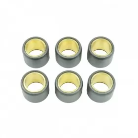 23x18 Variator weight set ATHENA 6pcs 23,0g