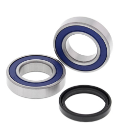 ALL BALLS Rear wheel bearing kit Arctic Cat / Kawasaki 250-300 06-18