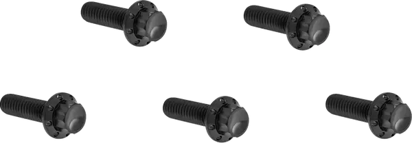 ARLEN NESS Derby Cover Titanium 12-Point Bolt Kit 12pcs. M8