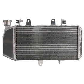 Radiator 4RIDE BMW F 650-800cc 2004-2018