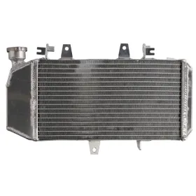 Radiator 4RIDE BMW F 650-800cc 2004-2018