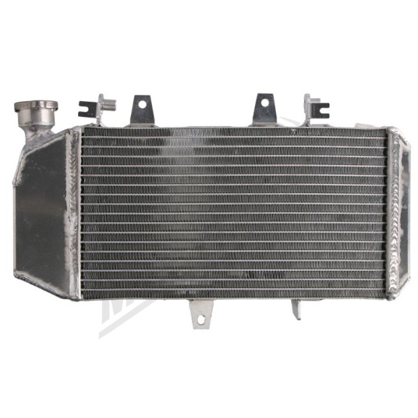 Radiator 4RIDE BMW F 650-800cc 2004-2018