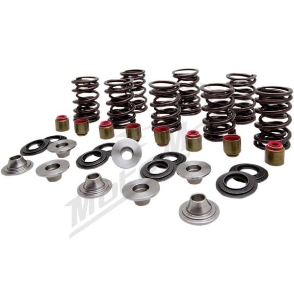 KIBBLEWHITE Valve Spring Kit Polaris Ranger / RZR 900-1000 13-22