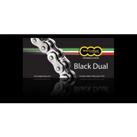REGINA Dual 525ZRA Z-Ring Chain 110 links