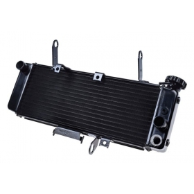 Radiator SUZUKI SV650 03-07