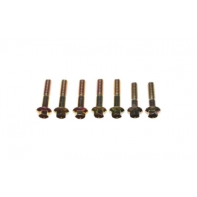 Bolts M8x1,25 (length 35 / 40mm) 7pcs