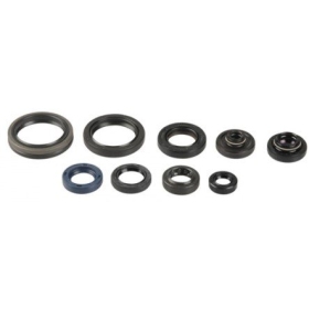 CENTAURO Oil Seal Set BETA RR / RX 250-300cc 2013-2024