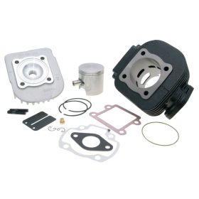 Cilindro komplektas POLINI Sport (ketaus) VERTICAL AC Ø47 PIN Ø10