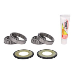PIVOT WOKRS Steering mechanism bearing set BMW / Harley Davidson 450-1868cc 07-20