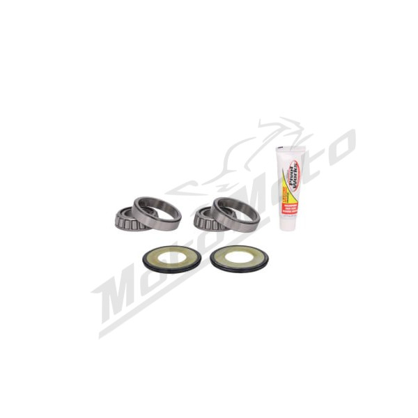 PIVOT WOKRS Vairo mechanizmo guolių kompl. BMW / Harley Davidson 450-1868cc 07-20
