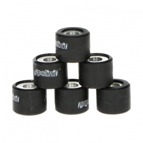 16x13 Variator weight set POLINI HQ 6pcs