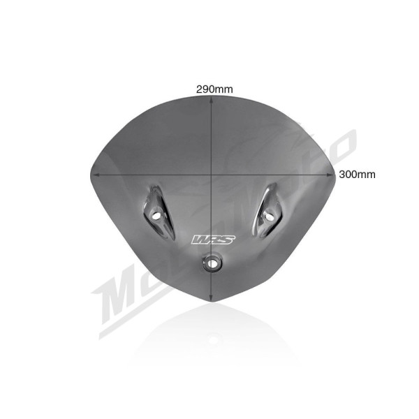 WRS SPORT Priekinis stiklas Tamsintas 75% BMW S1000R ABS 14-20