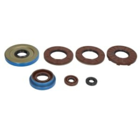 WINDEROSA Engine oil seals assembly Polaris ACE / Hawkeye / Ranger / Sportsman 325cc 14-16