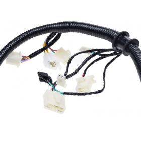 Wiring harness CHINESE SCOOTER/ LONGJIA/ LJ125T-8M 125cc
