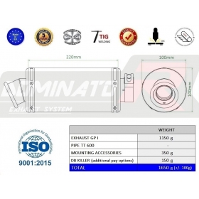 Exhaust silencer  Dominator GP1 TRIUMPH TT 600