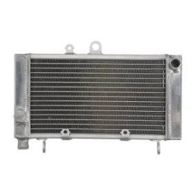 4RIDE Radiator Honda CBF 500cc 04-08