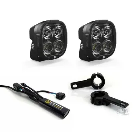 DENALI CANsmart Kit DL4 BMW F 800 08-18