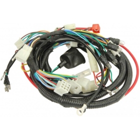 Wiring harness CHINESE SCOOTER GY6 50cc 4T R12