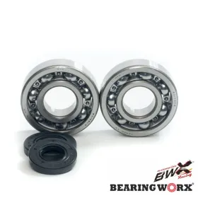BEARING WORX Crankshaft bearings with sealers Kawasaki KDX / KX 250 87-01