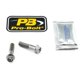 PRO BOLT Titanium Clip-On / Handle Bar Mount Bolt Kit Aprilia / Honda / Kawasaki / Suzuki 500-1100cc 98-25