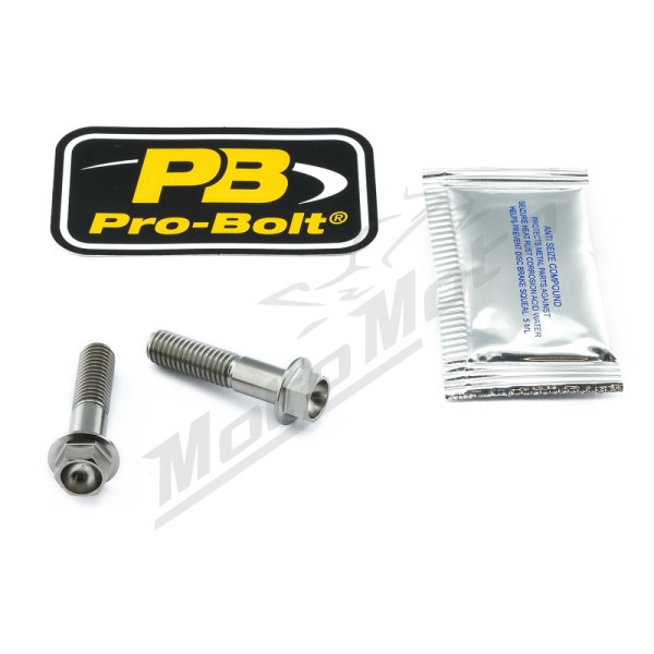 PRO BOLT Vairo tvirtinimo varžtų rinkinys Aprilia / Honda / Kawasaki / Suzuki 500-1100cc 98-25
