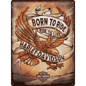 Metalinė lentelė HARLEY DAVIDSON BORN TO RIDE 30x40