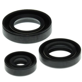Winderosa (vertex) set of engine seals Kawasaki KLF 400 Bayou 93–99