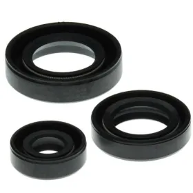 Winderosa (vertex) set of engine seals Kawasaki KLF 400 Bayou 93–99